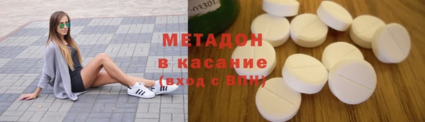 прущие грибы Аркадак