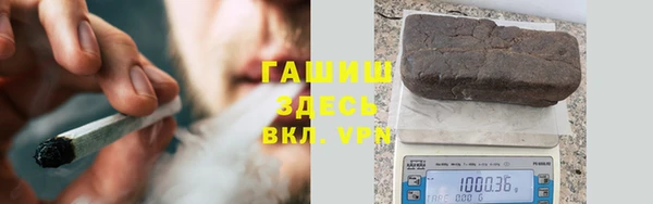 прущие грибы Аркадак