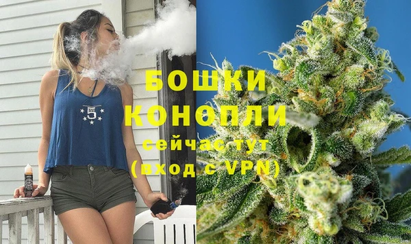 прущие грибы Аркадак
