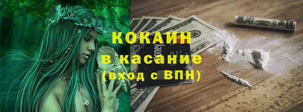 шишки Семилуки
