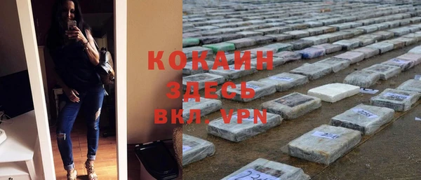 прущие грибы Аркадак